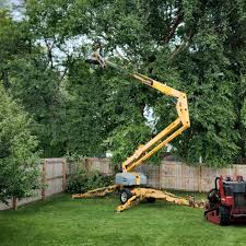 Best Hazardous Tree Removal  in Garfield, NJ